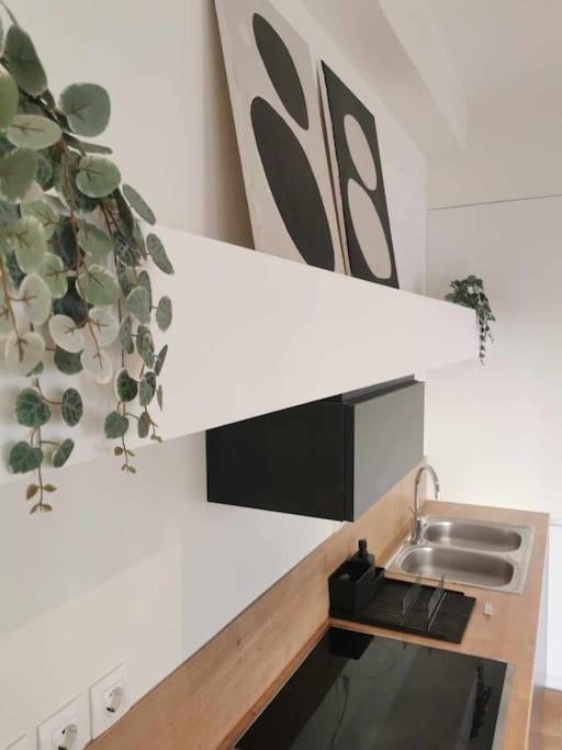 Cdv Stylish Athens Flat Apartment Ngoại thất bức ảnh