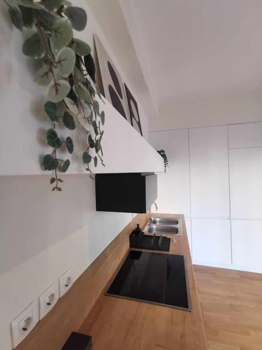 Cdv Stylish Athens Flat Apartment Ngoại thất bức ảnh